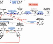 L8